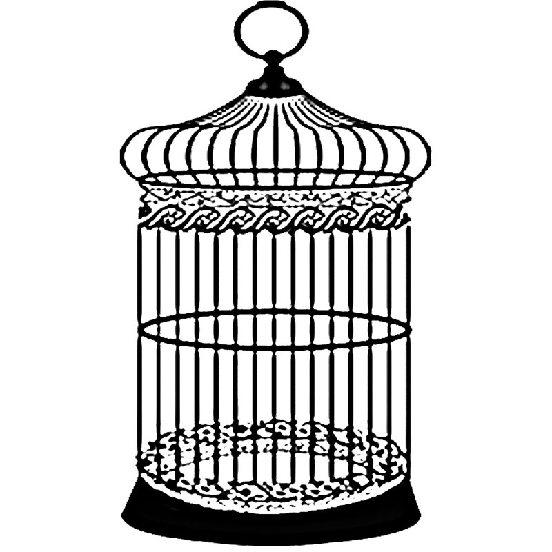 #2520 - Birdcage Lg. - Eclectic